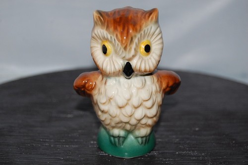 Eule kauz käuzchen waldkauz - eule,