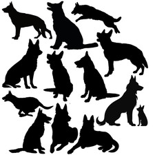 13 Deutsche Schäferhund