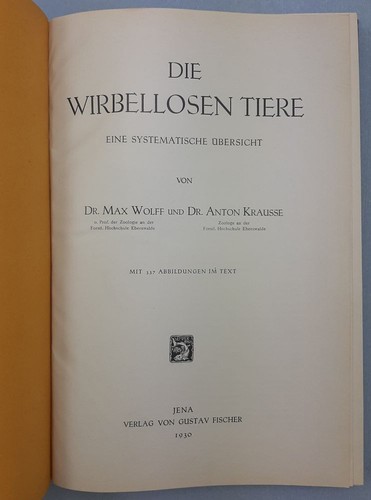 Die wirbellosen tiere eine - die,
