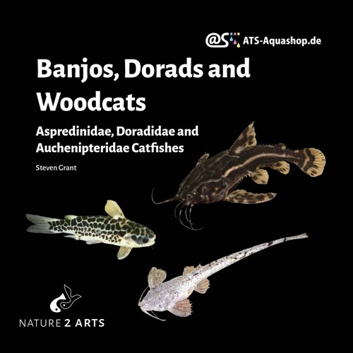 Banjos dorads and woodcats - woodcats,