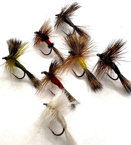 Wulff forellen fliegenfischen - forellen,
