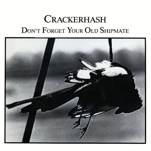Crackerhash dont forget your - crackerhash,