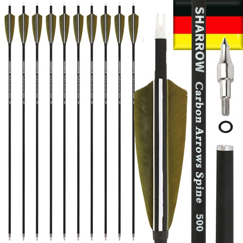 12x zoll carbonpfeile - 12x, 4zoll