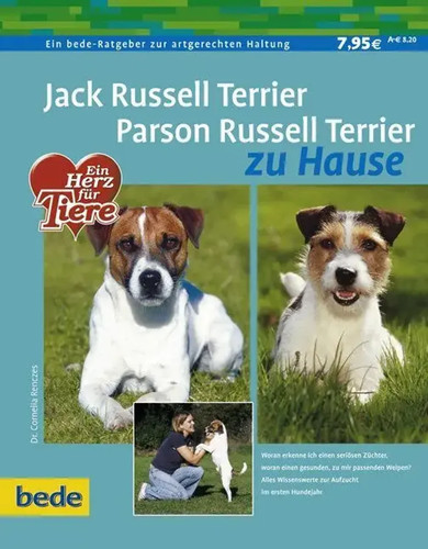 Jack russell terrier parson - russell,