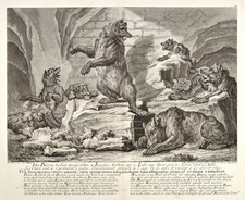 Ridinger Die Bären 1750 Original Antique Print Bär Bear Bärenfamilie iedźwiedź