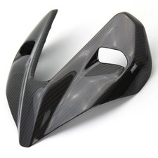 Carbon Frontverkleidung für