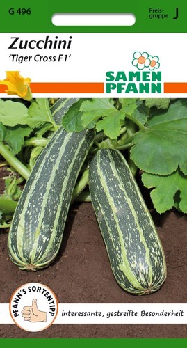 Zucchini tiger cross - zucchini,,