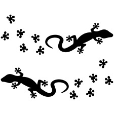 Gekko Gecko Echse Lizard