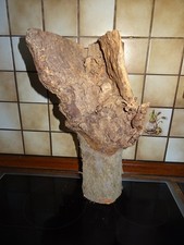 Deko Terrasse Wohnung Echtholz Naturholz Wurzelholz  43 cm  2130g schwer