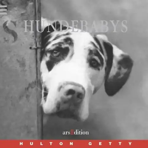 Hundebabys