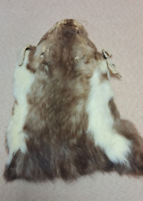 Steinmarder Köpfe Mittelalter Basteln echt Fell LARP Kopf Tiermaske  1 Stück