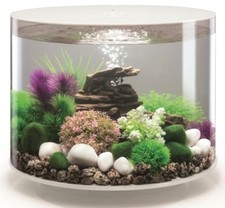 biOrb Nano-Aquarium Komplett-Set TUBE 35 LED weiß