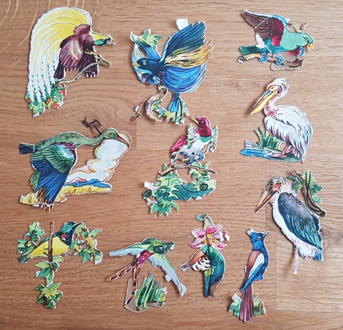 Ddr stammbuchbilder vögel alt - ddr,