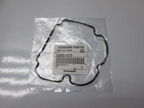 Dichtung ring motordeckel - dichtung,