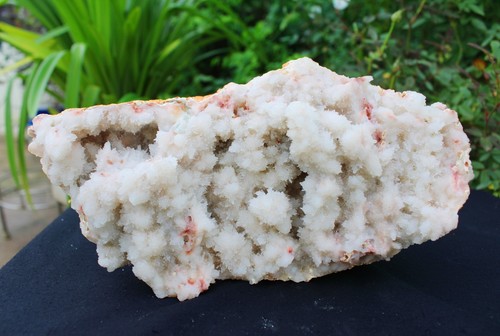 Chalcedon korallenformat auf - chalcedon,