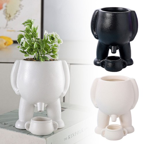 Piss pot planter - piss, for