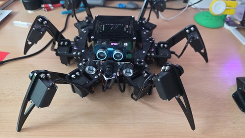 Big hexapod robot mit - hexapod,