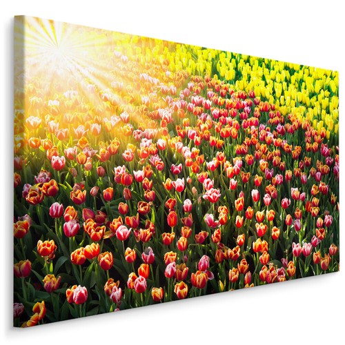 Canvas leinwand bilder xxl - canvas,