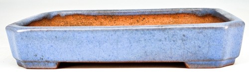 Bonsaischale yamafusa tokoname - bonsaischale,