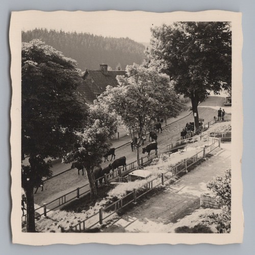 Altenau oberharz - altenau,