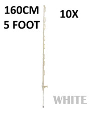 10 x 5 Fuß (160 cm)