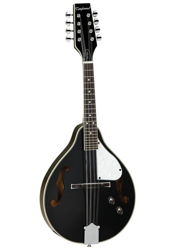 Tanglewood twm bkpe - twm, teardrop