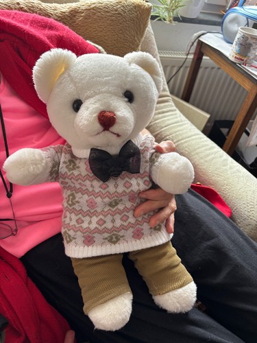 Stofftier kuscheltier bär - kuscheltier,