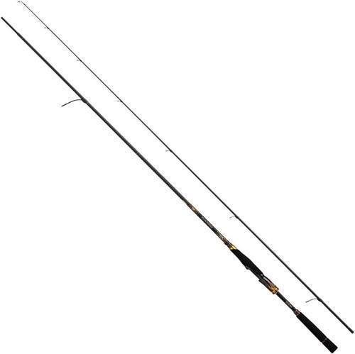 Daiwa sea barschrute - sea, morethan