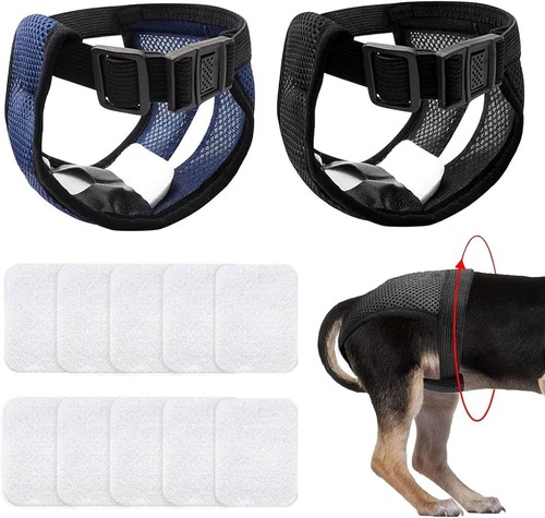 Pack läufigkeitshose für - 2,