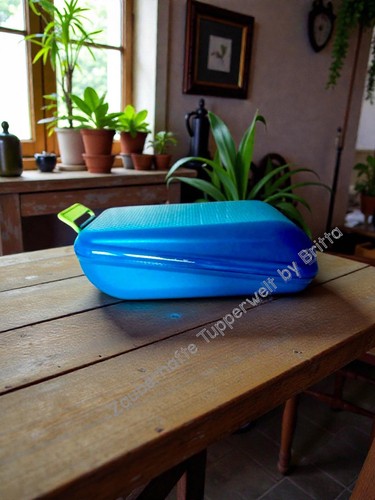 Tupperware lunchbox a18 - lunchbox,