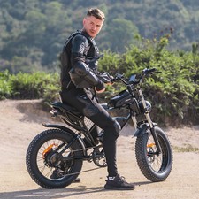 Elektrofahrrad 1000W/2000W