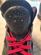 Nike lebron sneaker - v2,