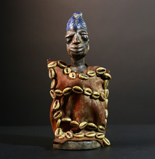 Afrikanische Kaurimuschel