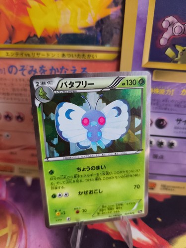 Pokemon karte card holo - card,