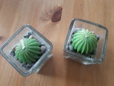 Deko-Kerzen 2 Stück