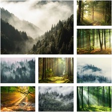 Selbstklebende Fototapete WALD