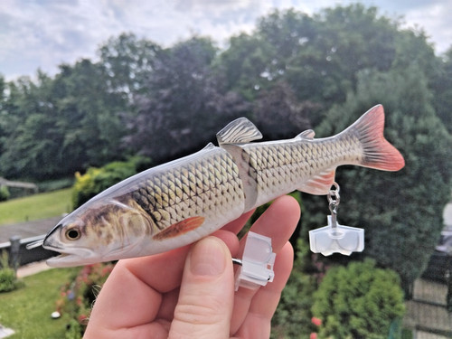Aew swimbait rotauge - swimbait, 18cm