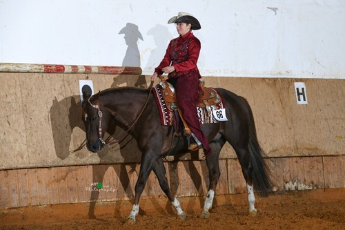 Western show turnier outfit - western,