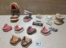 Dental Schaumodelle aus