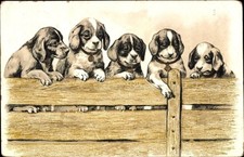 Präge Litho Fünf Hundewelpen an einem Holzzaun - 4829341