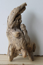 Treibholz Schwemmholz