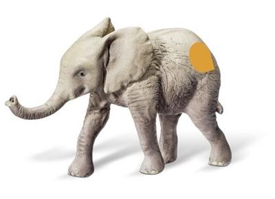 Tiptoi afrika spielfigur - tiptoi,