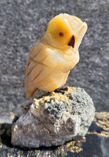 Edelsteinvogel auf