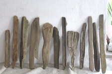 Schwemmholz Treibholz 12