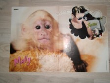 Justin Bieber & Bring me the