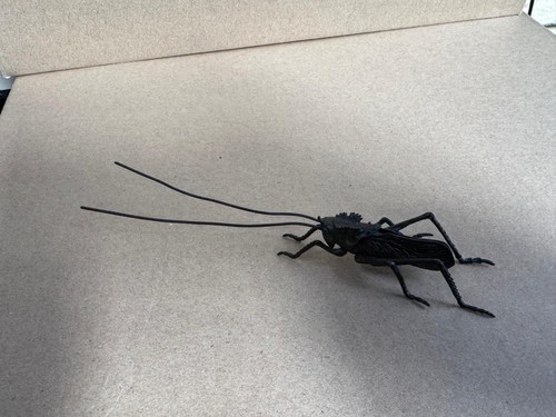 Bronze black field cricket - black,