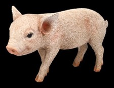 Schweine figur kleines - schweine,