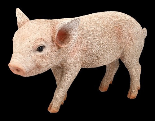 Schweine figur kleines - schweine,
