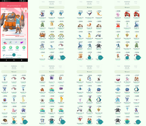 Pokémon acc lvl44 - acc, 12