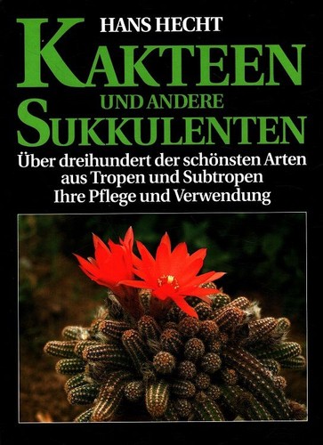 Kakteen und andere sukkulenten - andere,